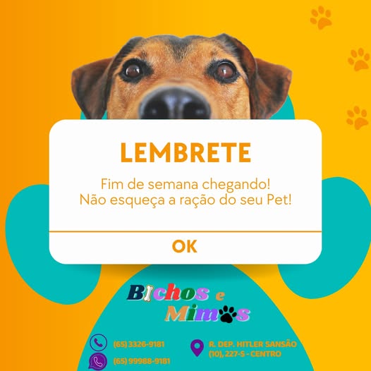 Foto BICHOS E MIMOS