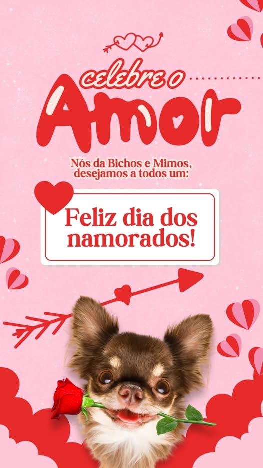 Foto BICHOS E MIMOS