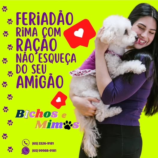 Foto BICHOS E MIMOS